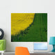 Rapeseed Growing In A Field, Ireland Wall Mural