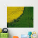 Rapeseed Growing In A Field, Ireland Wall Mural
