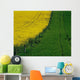 Rapeseed Growing In A Field, Ireland Wall Mural
