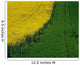 Rapeseed Growing In A Field, Ireland Wall Mural