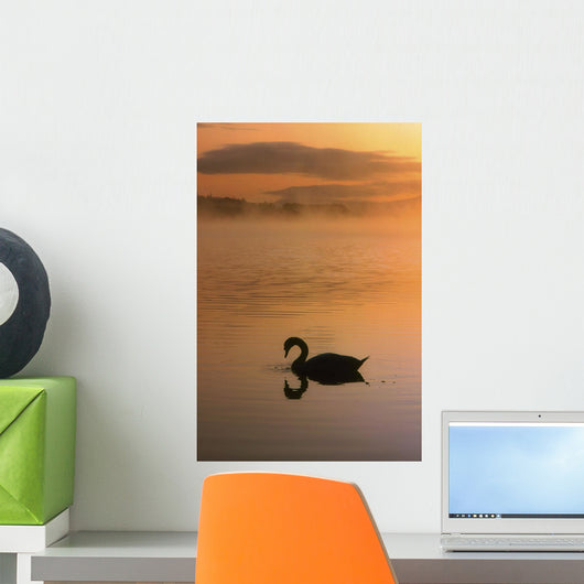 Lough Leane, Lakes Of Killarney, Co Kerry, Ireland Wall Mural