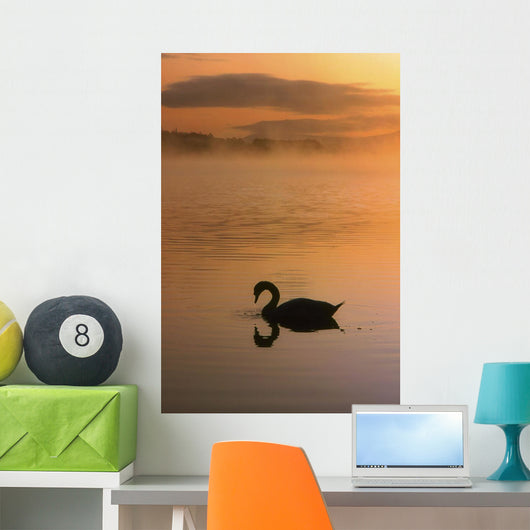 Lough Leane, Lakes Of Killarney, Co Kerry, Ireland Wall Mural