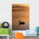 Lough Leane, Lakes Of Killarney, Co Kerry, Ireland Wall Mural