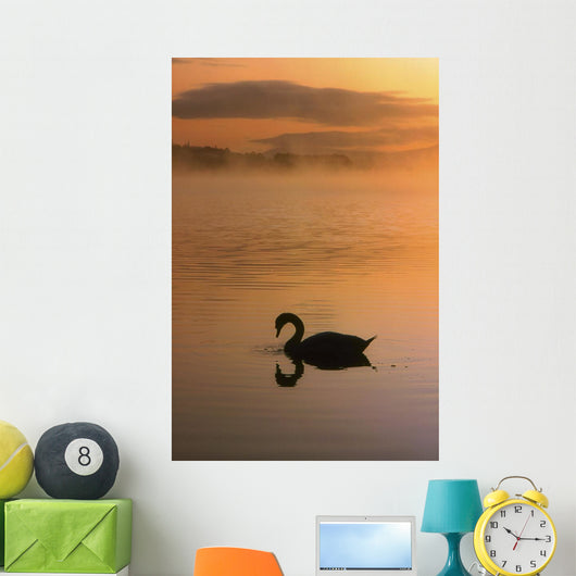 Lough Leane, Lakes Of Killarney, Co Kerry, Ireland Wall Mural