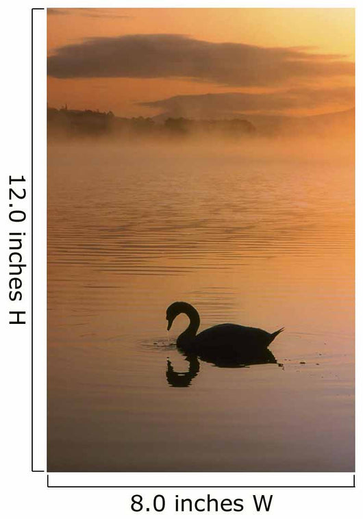 Lough Leane, Lakes Of Killarney, Co Kerry, Ireland Wall Mural