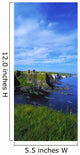 Glenarriff Falls, The Antim Glens, Co Antrim Ireland Wall Mural