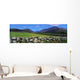 Irish Snow Scenes, Co Wicklow, Powerscourt Waterfall Wall Mural