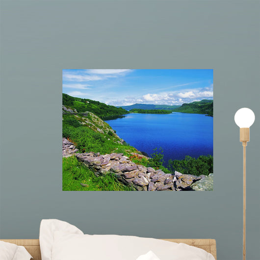 Lough Caragh, Co Kerry, Ireland Wall Mural