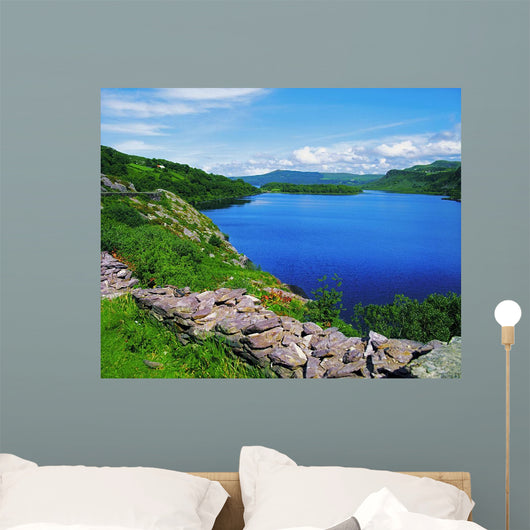 Lough Caragh, Co Kerry, Ireland Wall Mural