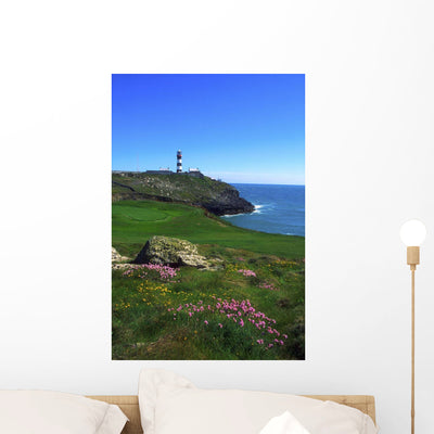 Old Head Kinsale Lighthouse Wall Mural shown on a wall