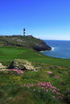 Old Head Of Kinsale Lighthouse, Kinsale, Co Cork, Ireland Wall Mural