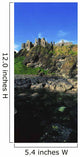 Dunluce Castle, Co Antrim, Ireland Wall Mural