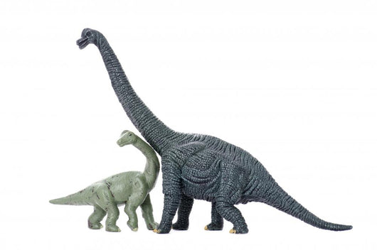 Two Dinosaur