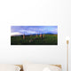 Co Kerry, Ireland, Stone Circle Wall Mural