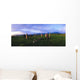 Co Kerry, Ireland, Stone Circle Wall Mural