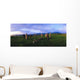 Co Kerry, Ireland, Stone Circle Wall Mural