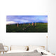 Co Kerry, Ireland, Stone Circle Wall Mural
