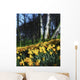 Daffodils Wall Mural