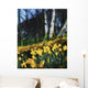 Daffodils Wall Mural