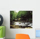 Clare River, Clare Glens, Co Tipperary, Ireland Wall Mural