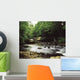 Clare River, Clare Glens, Co Tipperary, Ireland Wall Mural