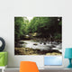 Clare River, Clare Glens, Co Tipperary, Ireland Wall Mural