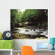 Clare River, Clare Glens, Co Tipperary, Ireland Wall Mural