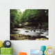 Clare River, Clare Glens, Co Tipperary, Ireland Wall Mural