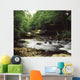 Clare River, Clare Glens, Co Tipperary, Ireland Wall Mural