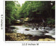 Clare River, Clare Glens, Co Tipperary, Ireland Wall Mural