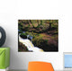 Glenmacnass Waterfall, Co Wicklow, Ireland Wall Mural