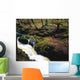 Glenmacnass Waterfall, Co Wicklow, Ireland Wall Mural