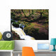 Glenmacnass Waterfall, Co Wicklow, Ireland Wall Mural
