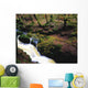 Glenmacnass Waterfall, Co Wicklow, Ireland Wall Mural