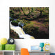 Glenmacnass Waterfall, Co Wicklow, Ireland Wall Mural