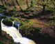 Glenmacnass Waterfall, Co Wicklow, Ireland Wall Mural