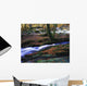 Glenmacnass Waterfall, Co Wicklow, Ireland Wall Mural