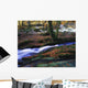 Glenmacnass Waterfall, Co Wicklow, Ireland Wall Mural