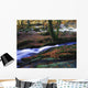 Glenmacnass Waterfall, Co Wicklow, Ireland Wall Mural