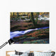 Glenmacnass Waterfall, Co Wicklow, Ireland Wall Mural