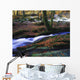 Glenmacnass Waterfall, Co Wicklow, Ireland Wall Mural