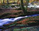 Glenmacnass Waterfall, Co Wicklow, Ireland Wall Mural