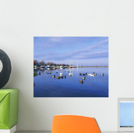 Kinnego Marina, Lough Neagh, Co Antrim, Ireland Wall Mural