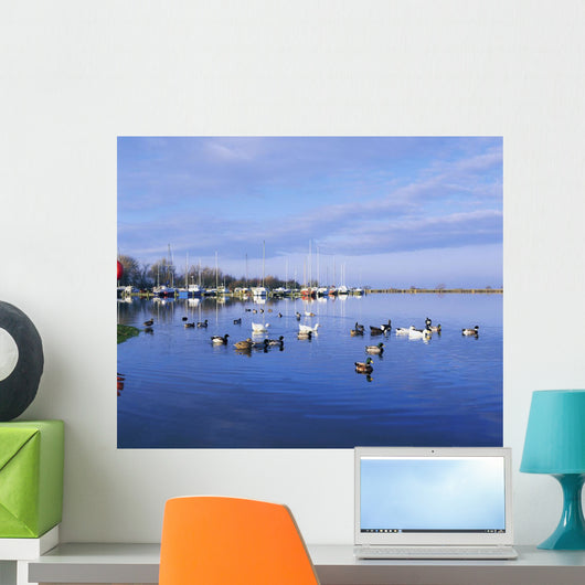 Kinnego Marina, Lough Neagh, Co Antrim, Ireland Wall Mural