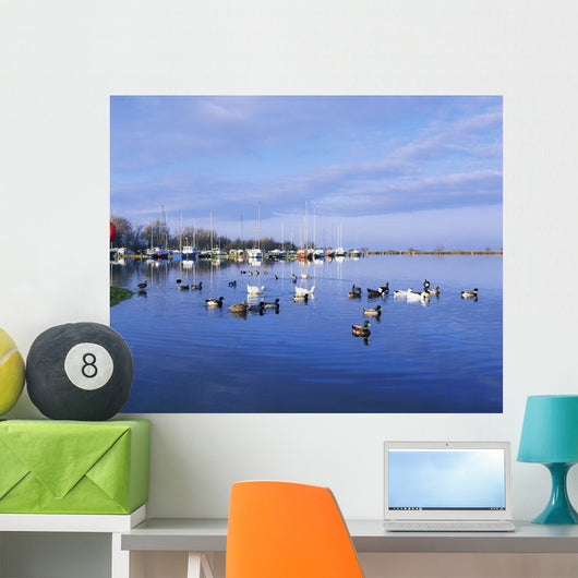 Kinnego Marina, Lough Neagh, Co Antrim, Ireland Wall Mural