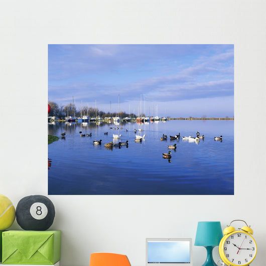 Kinnego Marina, Lough Neagh, Co Antrim, Ireland Wall Mural