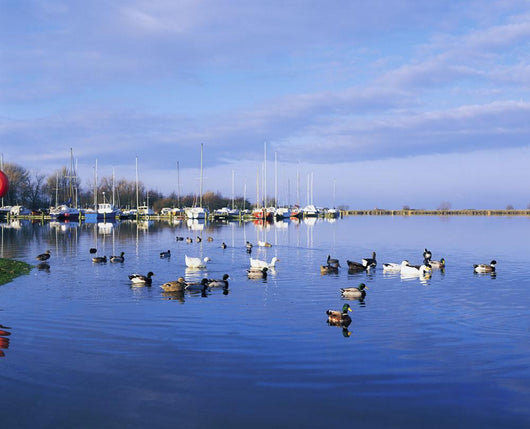Kinnego Marina, Lough Neagh, Co Antrim, Ireland Wall Mural