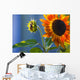 A Sunflower Blooming With Bud Wall Mural