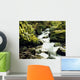 River With Rocks In The Forest Wall Mural