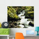 River With Rocks In The Forest Wall Mural